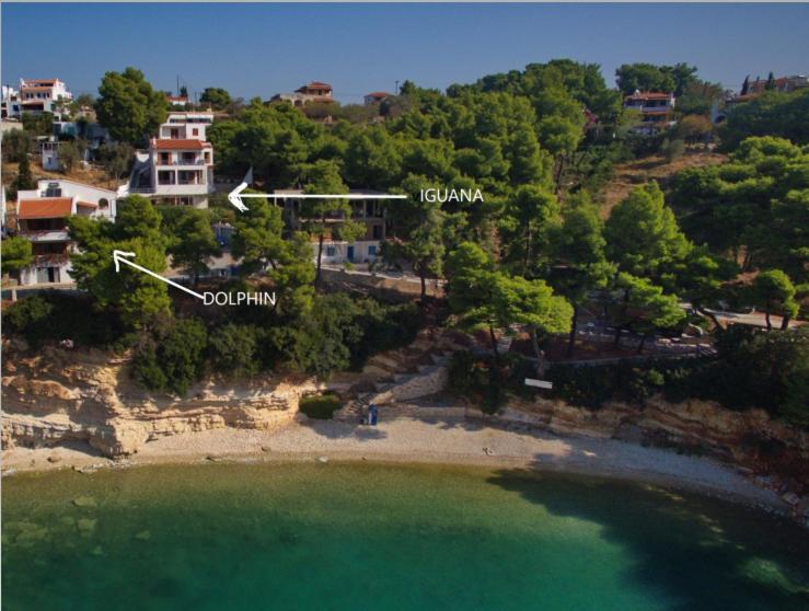 Villa Iguana Votsi Votsi  Dış mekan fotoğraf